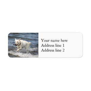 White German Shepard op Lake George Etiket