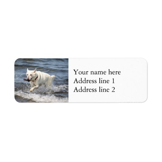 White German Shepard op Lake George Etiket (Voorkant)