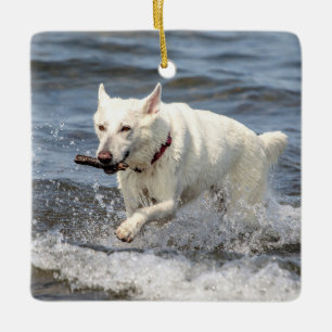 White German Shepard op Lake George Keramisch Ornament