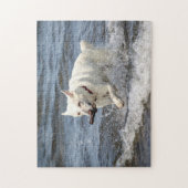 White German Shepard op Lake George Legpuzzel (Verticaal)