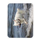 White German Shepard op Lake George Magneet (Verticaal)