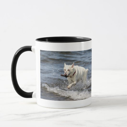 White German Shepard op Lake George Mok (Links)