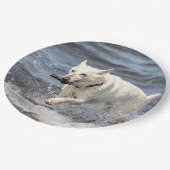 White German Shepard op Lake George Papieren Bordje (Gekanteld)