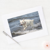 White German Shepard op Lake George Rechthoekige Sticker (Envelop)