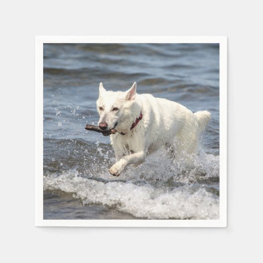 White German Shepard op Lake George Servetten (Voorkant)