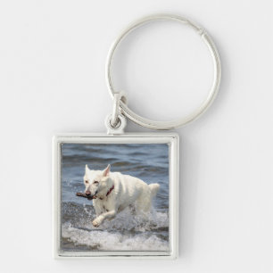 White German Shepard op Lake George Sleutelhanger