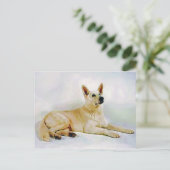 White German Shepherd Briefkaart (Staand voorkant)