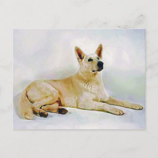 White German Shepherd Briefkaart