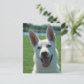 White German Shepherd Dog Briefkaart (Staand voorkant)