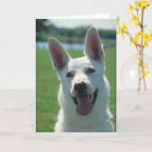 White German Shepherd Dog Kaart (Gele Bloem)