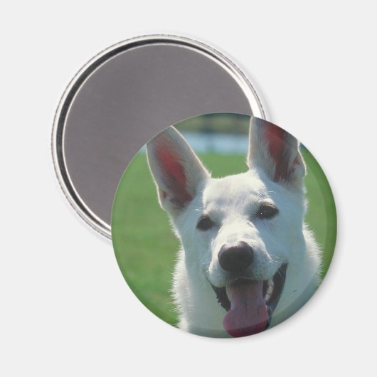 White German Shepherd Dog Magneet (Voorkant / Achterkant)