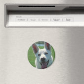 White German Shepherd Dog Magneet (Insitu (Vaatwasser))