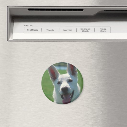 White German Shepherd Dog Magneet (Insitu (Vaatwasser))