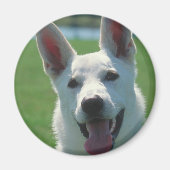 White German Shepherd Dog Magneet (Voorkant)