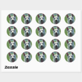 White German Shepherd Dog Ronde Sticker (Vel)