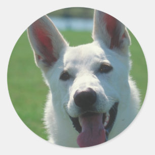 White German Shepherd Dog Ronde Sticker