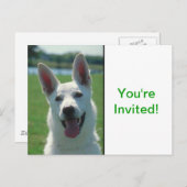 White German Shepherd Dog Uitnodiging Briefkaart (Voorkant / Achterkant)