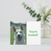 White German Shepherd Dog Uitnodiging Briefkaart (Staand voorkant)