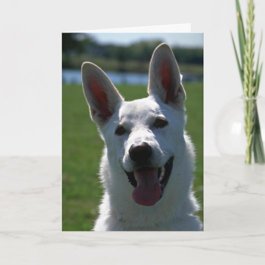White German Shepherd Kaart (Voorkant)