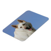 White German Shepherd Magneet (Linkerzijde)