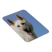 White German Shepherd Magneet (Rechterzijde)