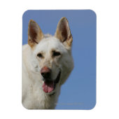 White German Shepherd Magneet (Verticaal)