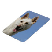 White German Shepherd Magneet (Linkerzijde)