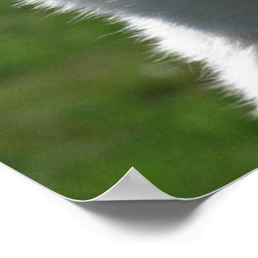 White German Shepherd Poster (Hoek)