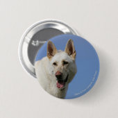 White German Shepherd Ronde Button 5,7 Cm (Voorkant /achterkant)