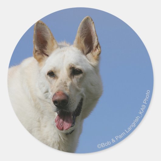 White German Shepherd Ronde Sticker (Voorkant)