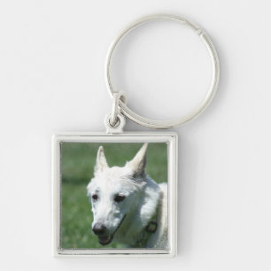 White German Shepherd Sleutelhanger