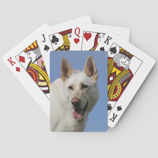 White German Shepherd Speelkaarten (Achterkant)