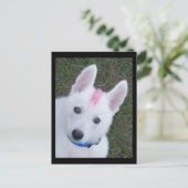 White German Shepherd w. Mohawk Briefkaart (Staand voorkant)