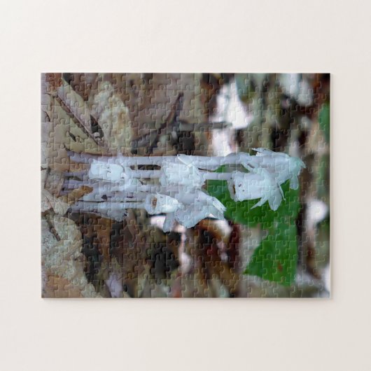 White Ghost Plant Legpuzzel (Horizontaal)