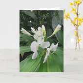 White Ginger Kaart (Gele Bloem)