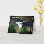 White Gladiolus Garden Flower Happy Birthday Kaart (Gele Bloem)