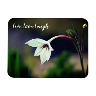 White Gladiolus Garden Flower Motivatie Magneet
