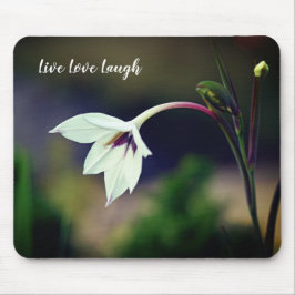 White Gladiolus Garden Flower Motivatie Magnet Muismat