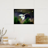 White Gladiolus Garden Flower Motivatie Poster (Keuken)