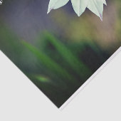 White Gladiolus Garden Flower Motivatie Tissuepapier (Detail)