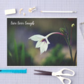 White Gladiolus Garden Flower Motivatie Tissuepapier (Craft)
