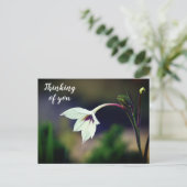 White Gladiolus Garden Flower Thinking of You Briefkaart (Staand voorkant)