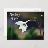 White Gladiolus Garden Flower Thinking of You Briefkaart (Voorkant / Achterkant)