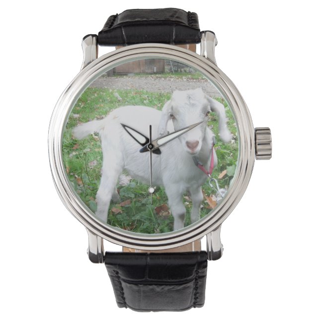 White Goat Watch Horloge (Voorkant)