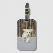 White Golden Retriever Puppy in sneeuw Bagagelabel (Voorkant (verticaal))