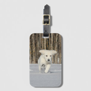 White Golden Retriever Puppy in sneeuw Bagagelabel