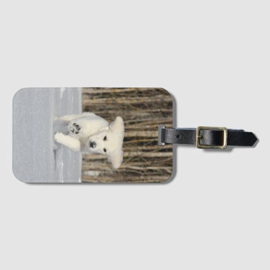 White Golden Retriever Puppy in sneeuw Bagagelabel (Voorkant (horizontaal))