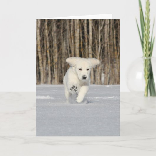 White Golden Retriever Puppy in sneeuw Kaart (Voorkant)