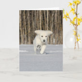 White Golden Retriever Puppy in sneeuw Kaart (Gele Bloem)