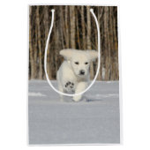 White Golden Retriever Puppy in sneeuw Medium Cadeauzakje (Voorkant)